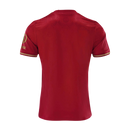 Camisa Bayern de Munique Comemorativa 125 Anos 25/26 - Torcedor Masculina - Lançamento