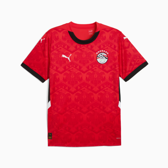 Camisa Seleção Egito Home 2025/26 - Puma Torcedor Masculina