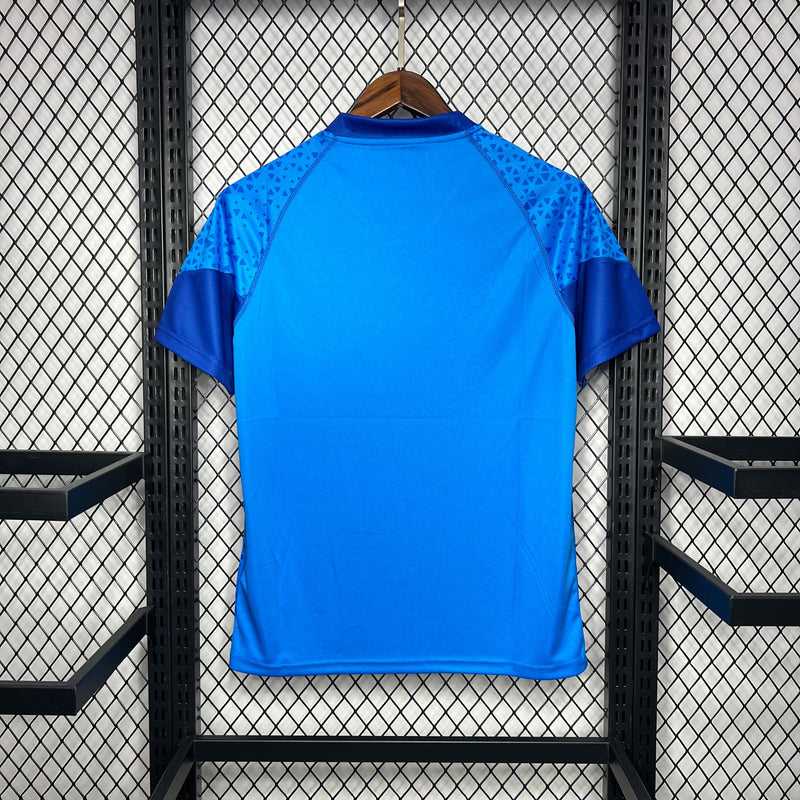 Camisa Palmeiras Goleiro Azul 24/25 - Puma Torcedor Masculina